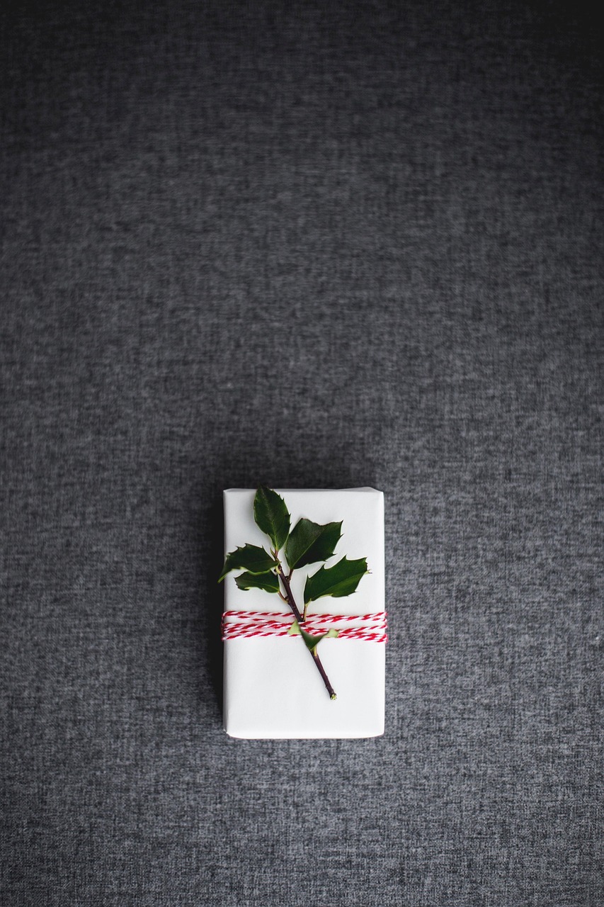 christmas, present, gift, holiday, xmas, gift box, surprise, package, leaves, christmas present, nature, christmas gift, decoration, decor, christmas background, iphone wallpaper