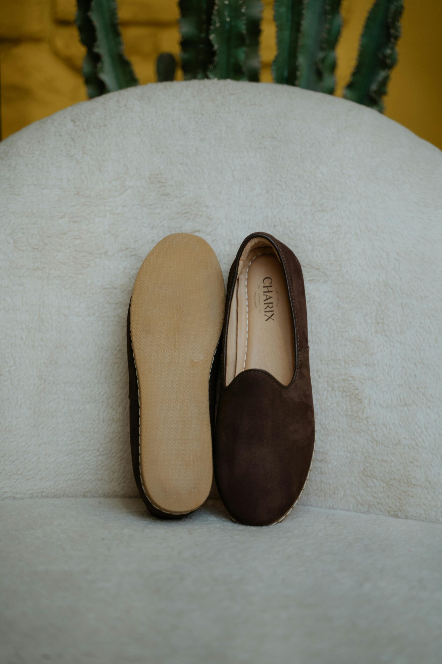 Pair of brown loafers elegantly displayed on a white, cozy sofa with a cactus backdrop.
