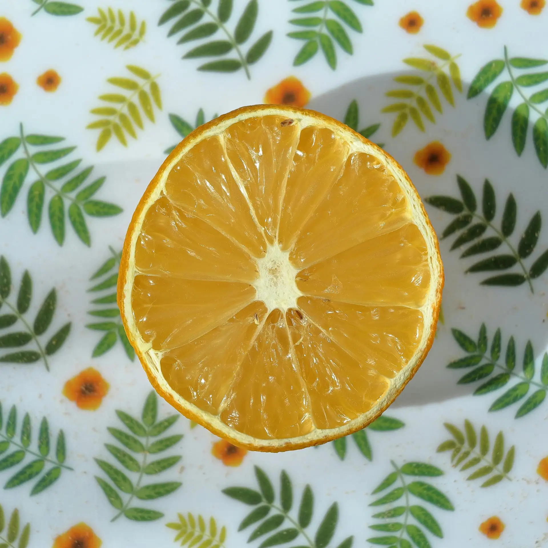 Close-up of a juicy orange slice on a decorative floral plate.