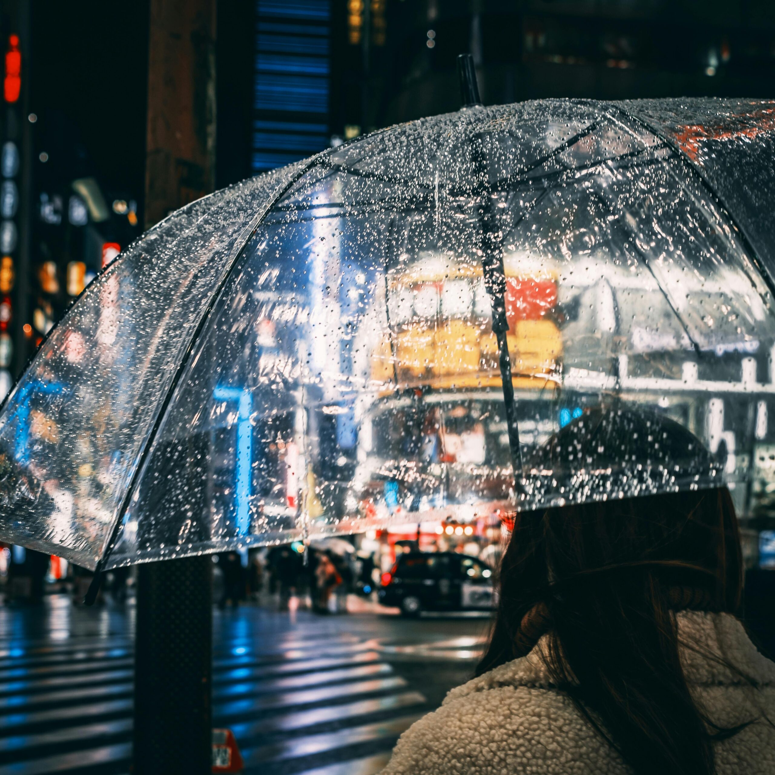 Back view of unrecognizable female in outerwear with umbrella standing on rainy street in glowing city near crosswalk with transport and people near buildings at night