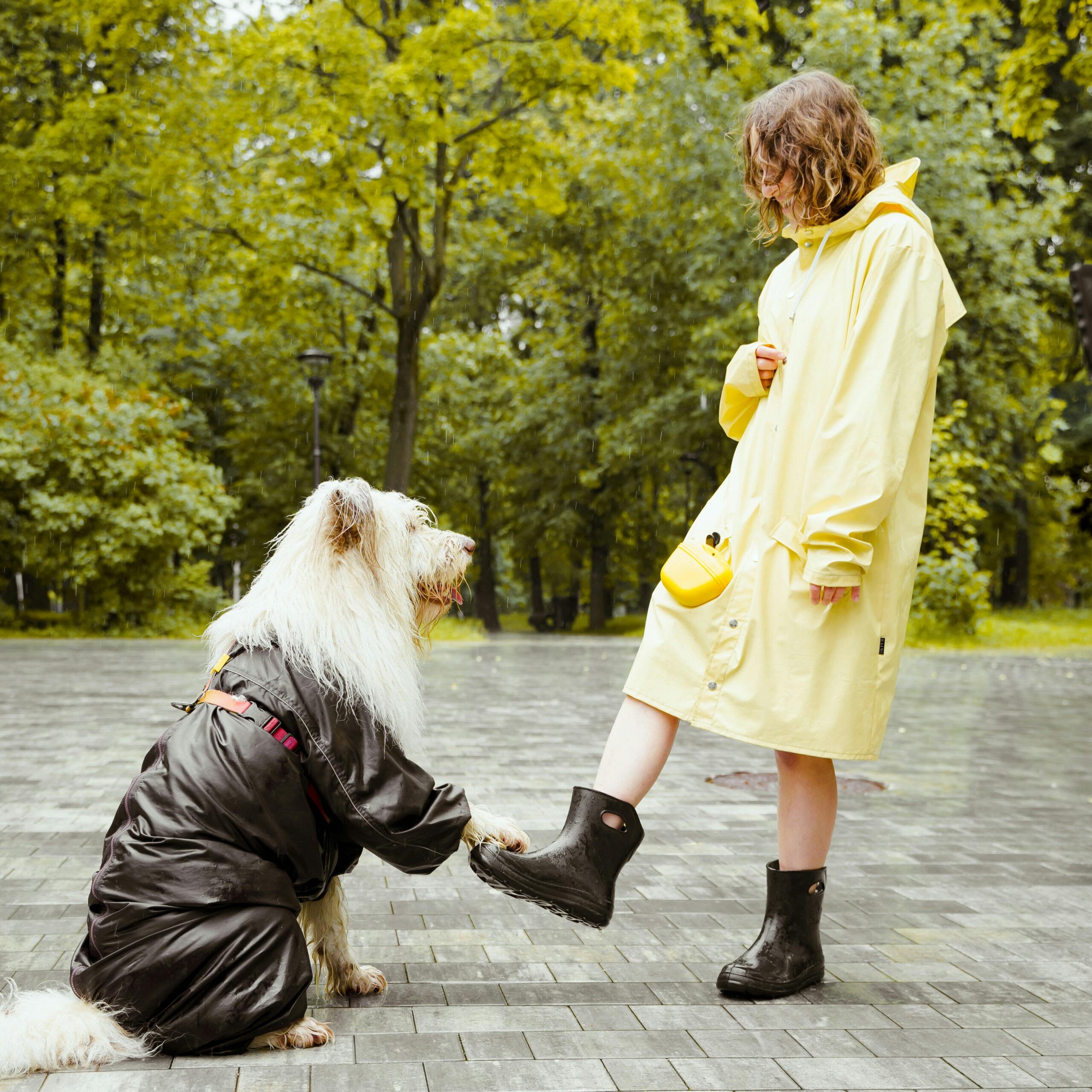 Woman and dog in matching raincoats sharing a moment in a green park.