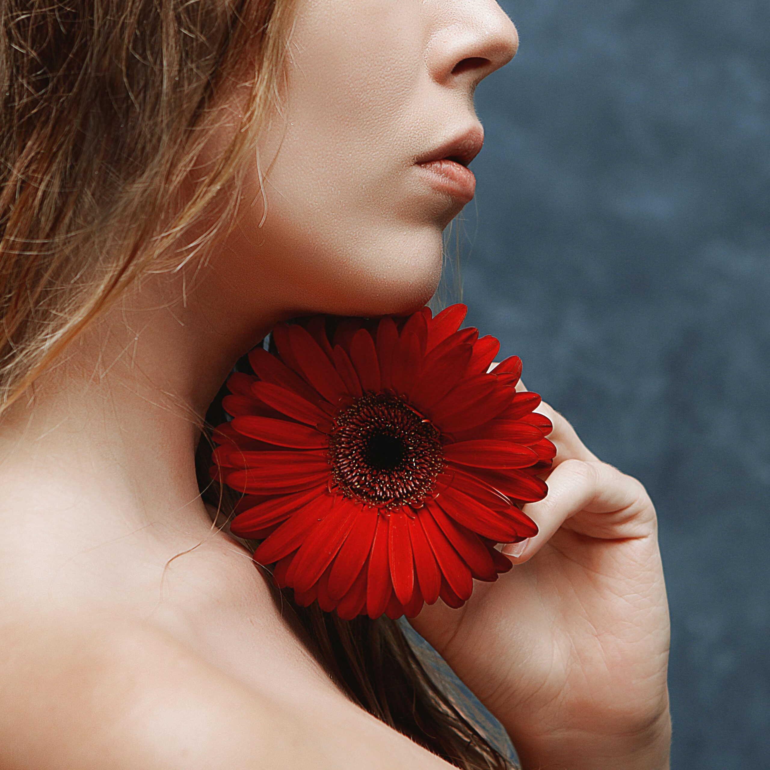 Elegant side profile of a woman gently holding a vivid red Gerbera daisy near her chin.